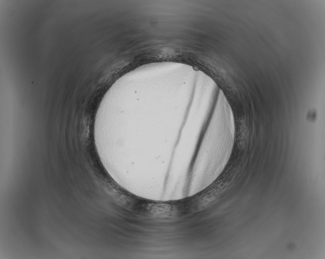 X0000096630230200803041111