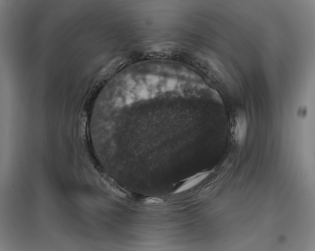 X0000096630231200803041111