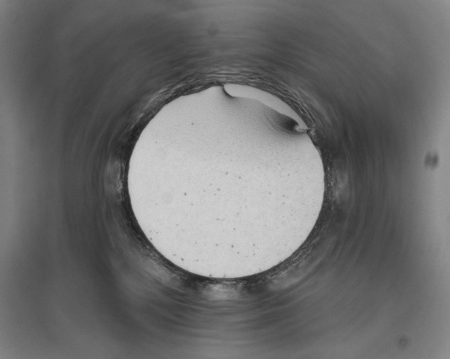 X0000096630232200803041111