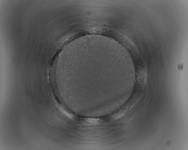 X0000096630233200803041111
