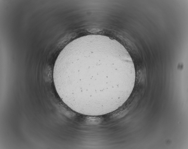 X0000096630234200803041111
