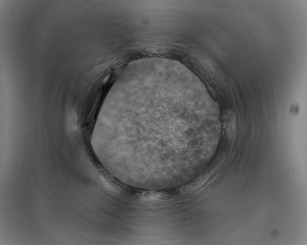 X0000096630235200803041111