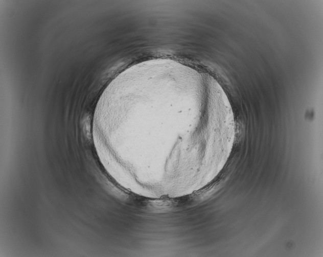 X0000096630238200803041111