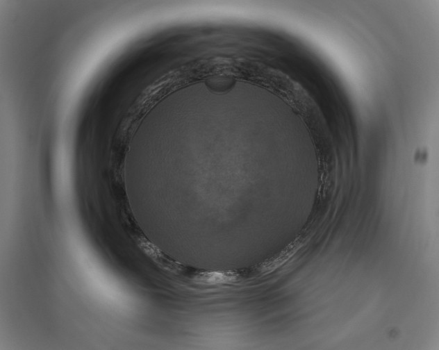 X0000096630239200803041111