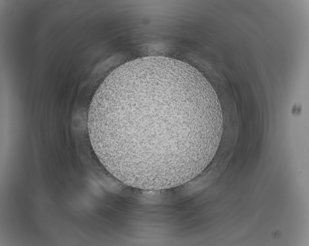 X0000096630240200803041111