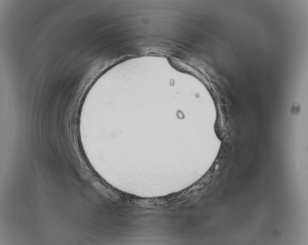 X0000096630241200803041110