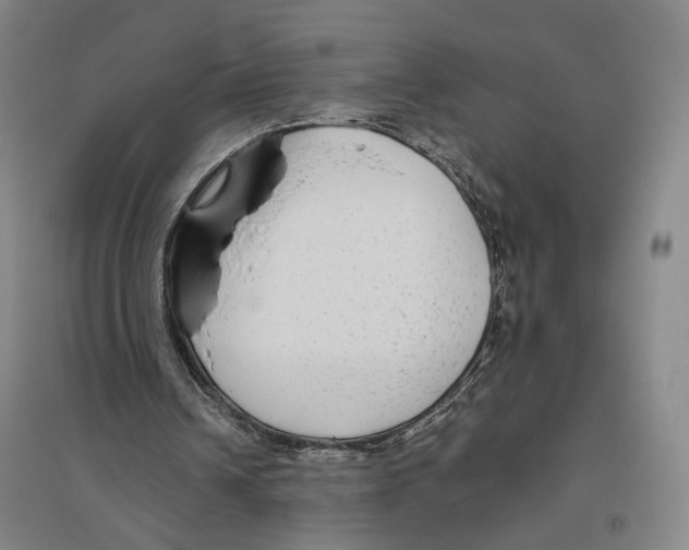 X0000096630242200803041110