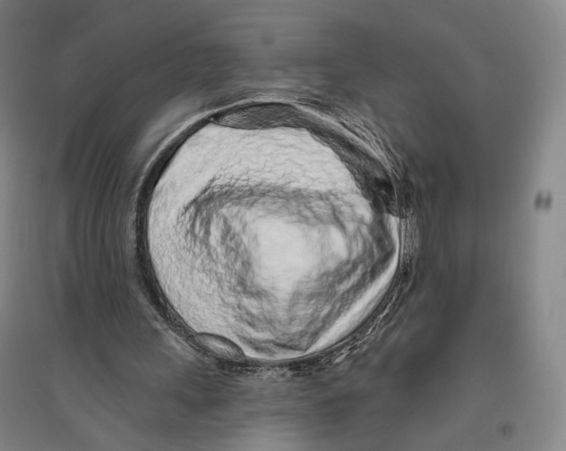 X0000096630243200803041110