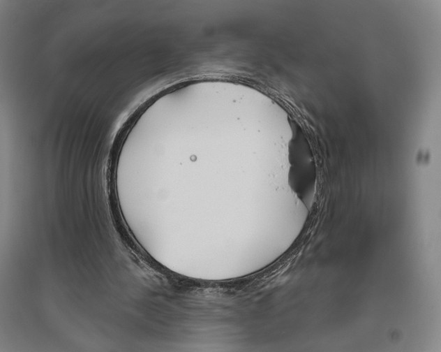 X0000096630244200803041110