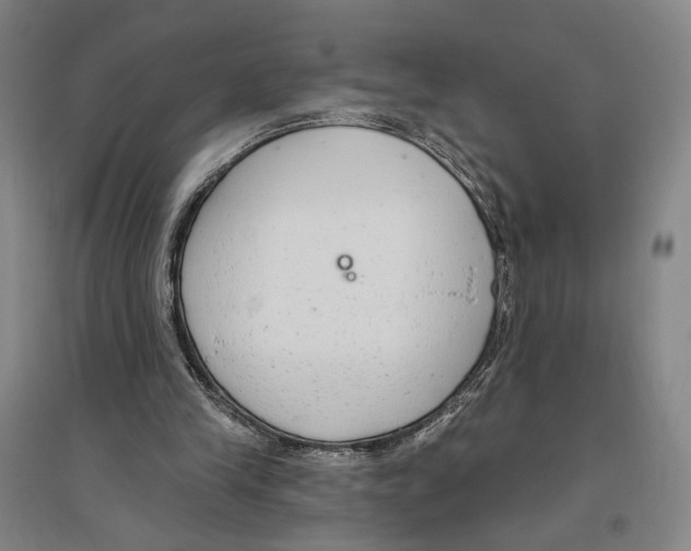 X0000096630245200803041110
