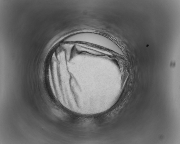 X0000096630247200803041110