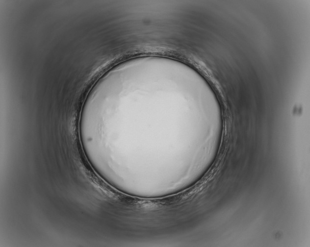 X0000096630249200803041110