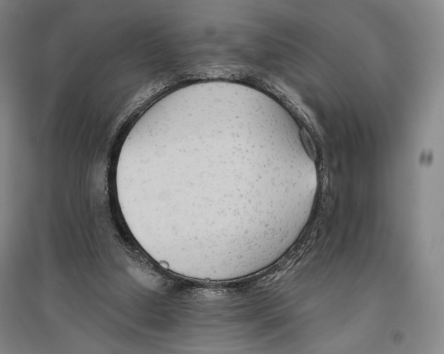 X0000096630250200803041110