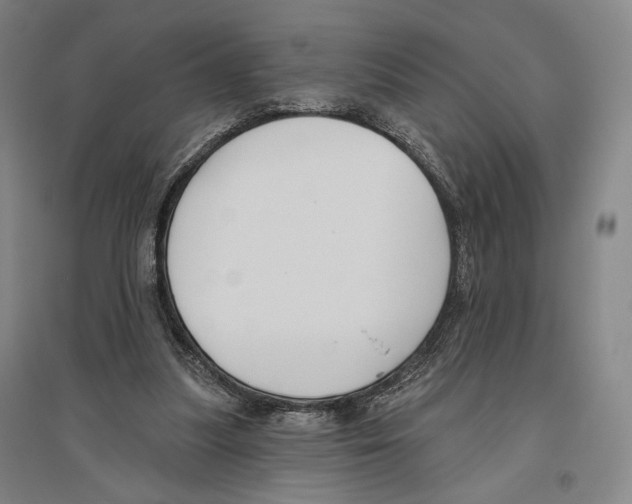 X0000096630251200803041110