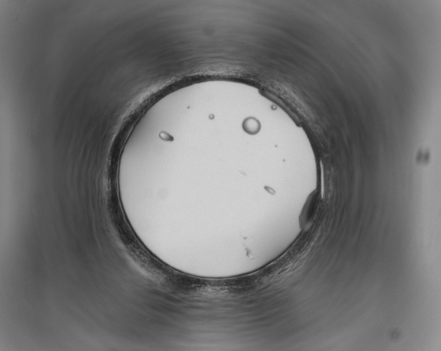 X0000096630252200803041110