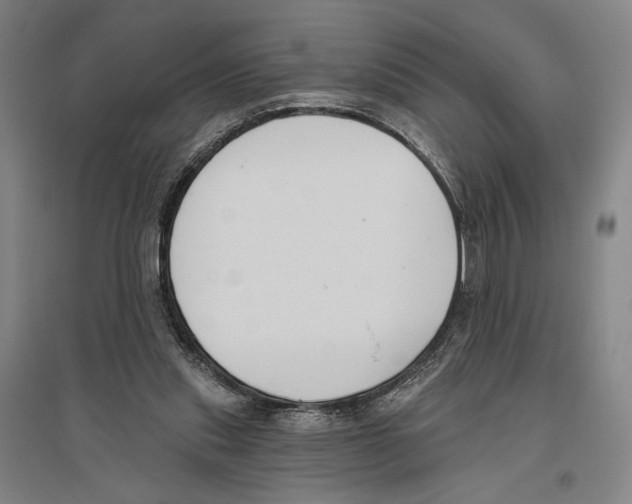 X0000096630253200803041110
