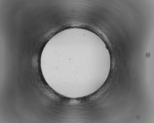 X0000096630257200803041110