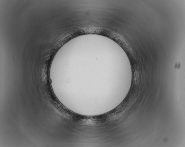 X0000096630259200803041110