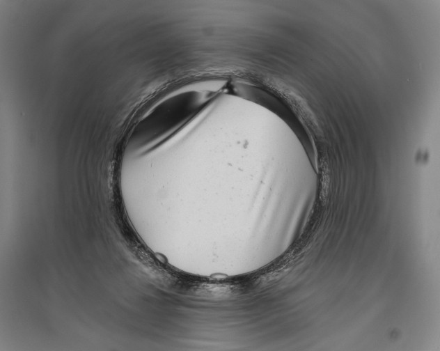 X0000096630260200803041110