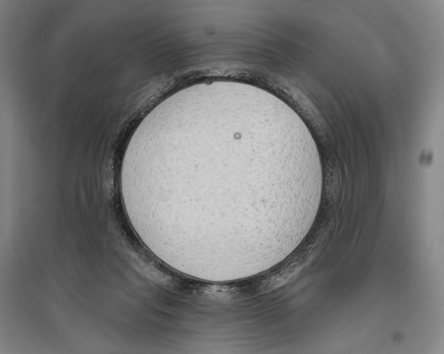 X0000096630261200803041110