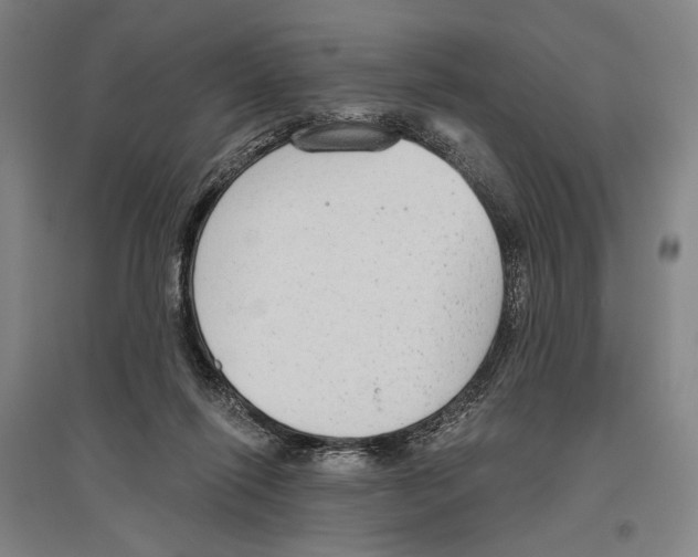 X0000096630262200803041110