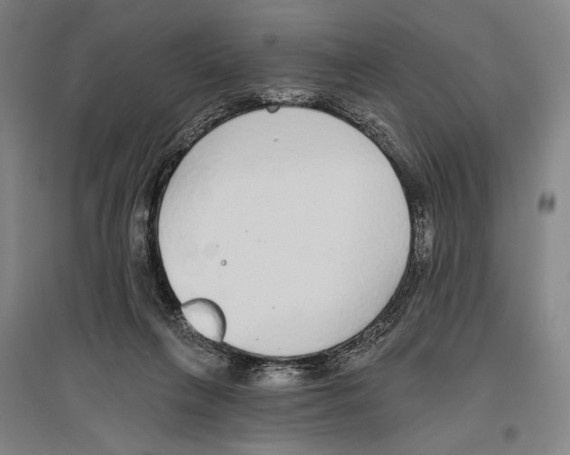 X0000096630263200803041110