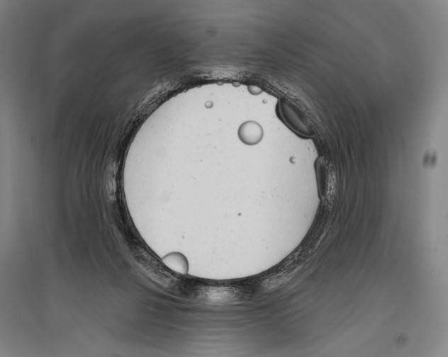 X0000096630264200803041110