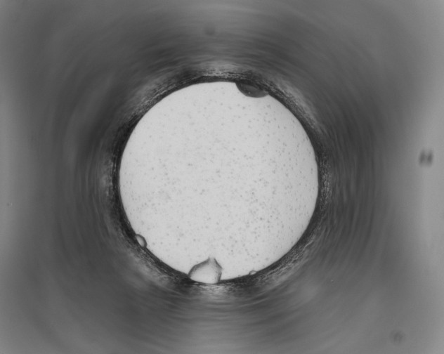 X0000096630265200803041110