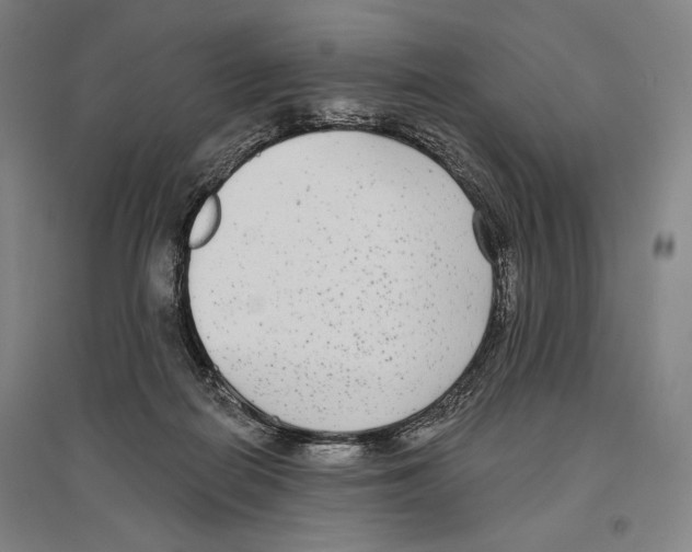 X0000096630266200803041110