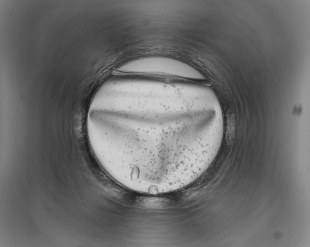 X0000096630268200803041110