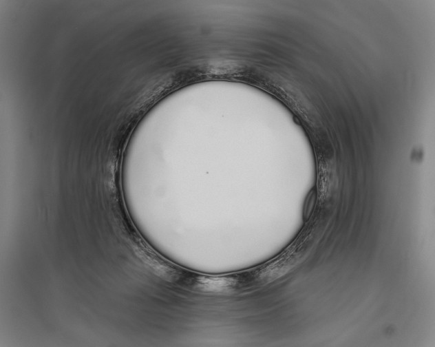 X0000096630269200803041110