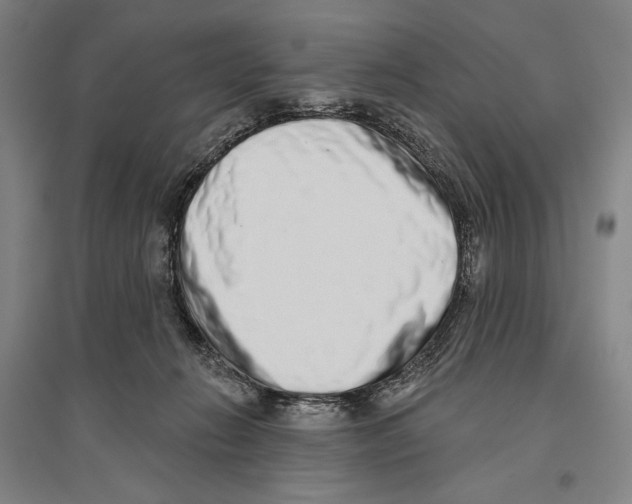 X0000096630270200803041110