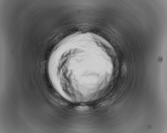 X0000096630271200803041110
