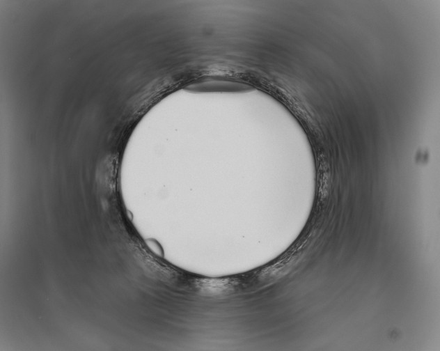 X0000096630273200803041110