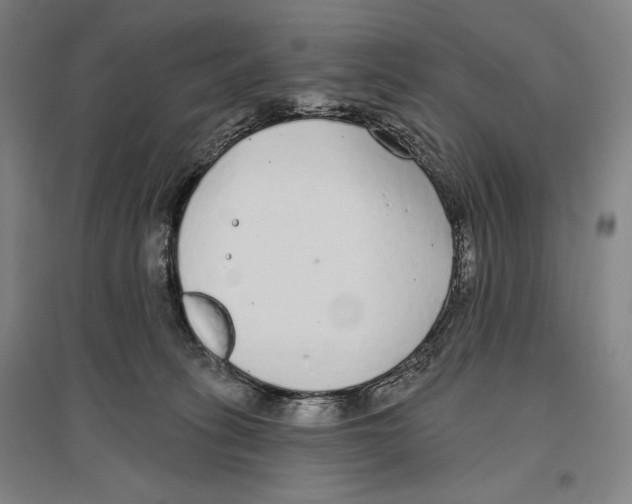 X0000096630275200803041110