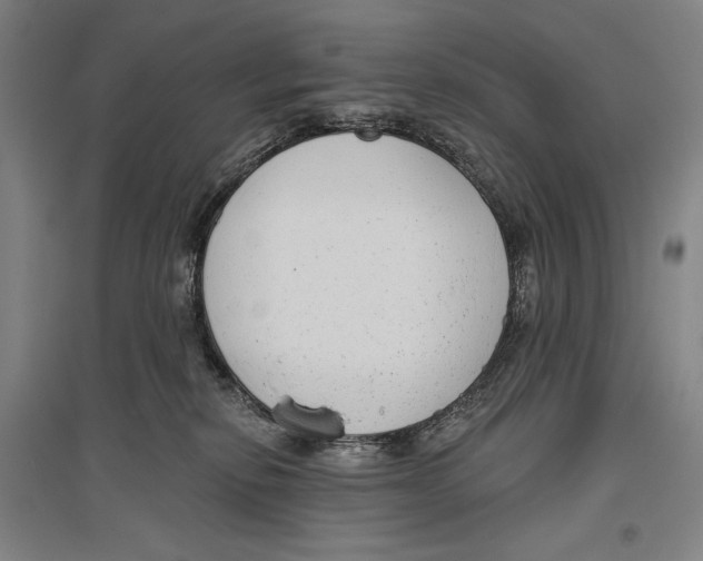 X0000096630278200803041110