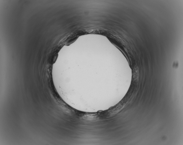 X0000096630280200803041111