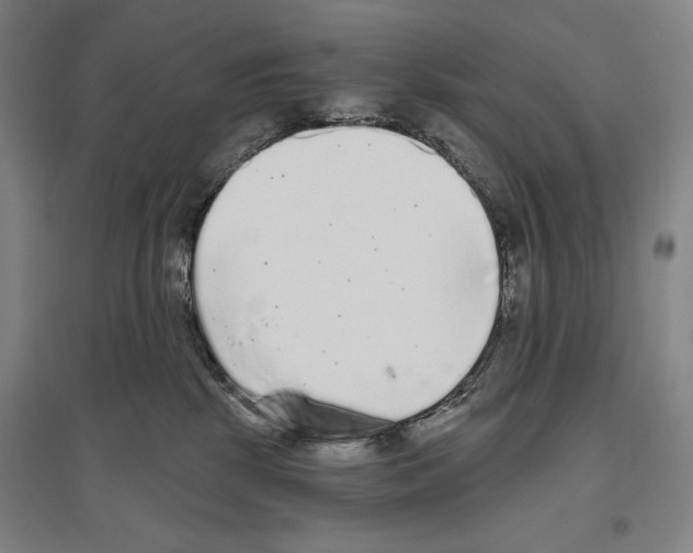 X0000096630281200803041111