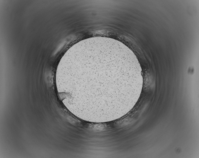 X0000096630282200803041111