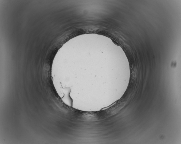 X0000096630283200803041111