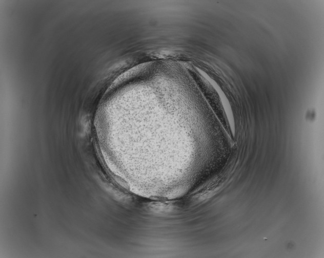 X0000096630284200803041111