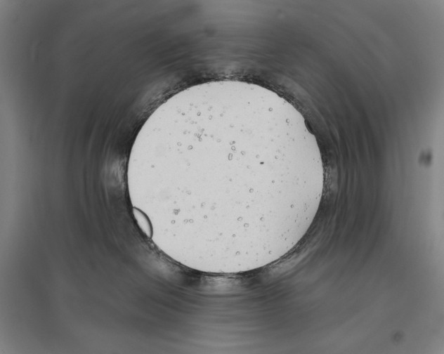 X0000096630286200803041111
