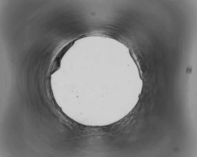 X0000096630289200803041110