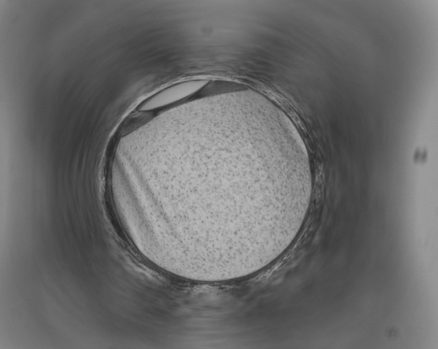 X0000096630290200803041110