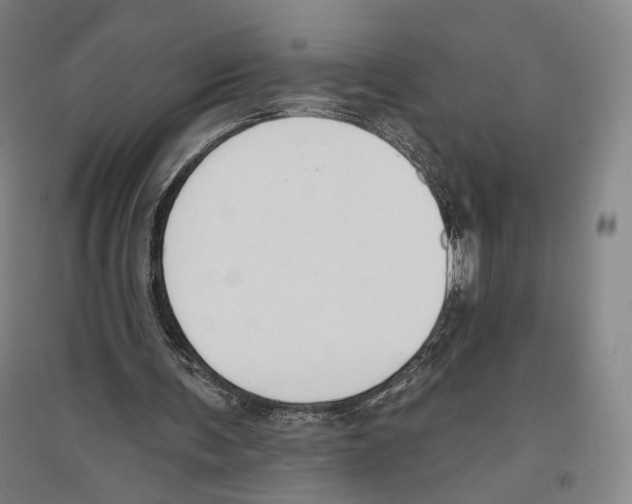 X0000096630291200803041110