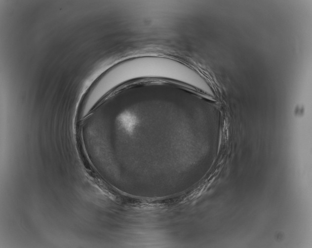 X0000096630292200803041110