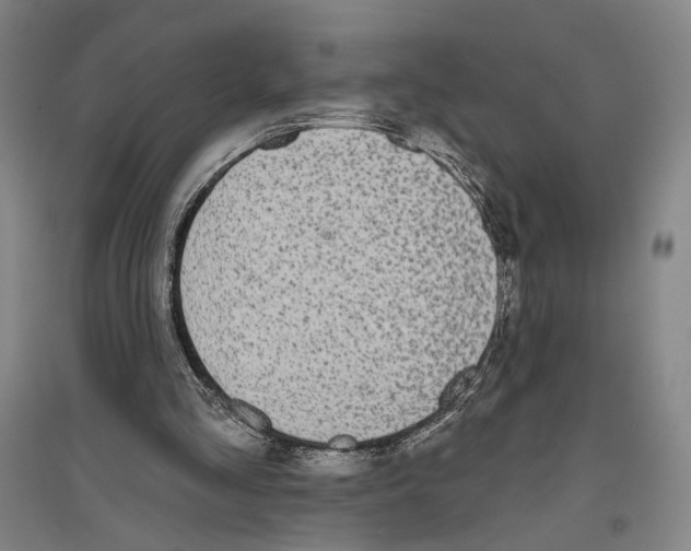 X0000096630293200803041110