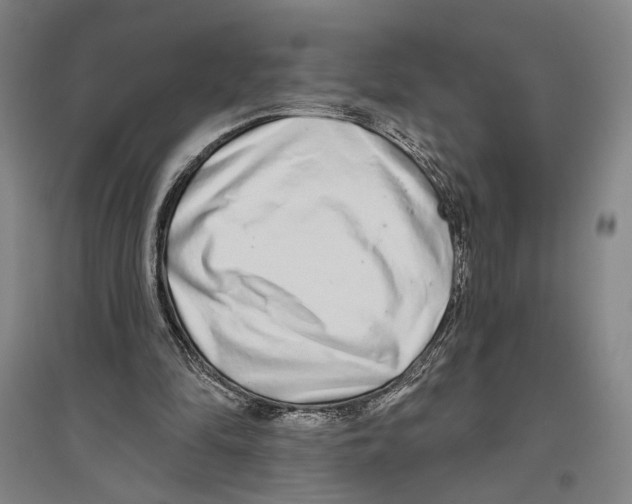 X0000096630294200803041110