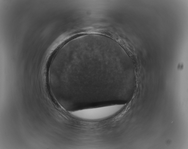 X0000096630295200803041110