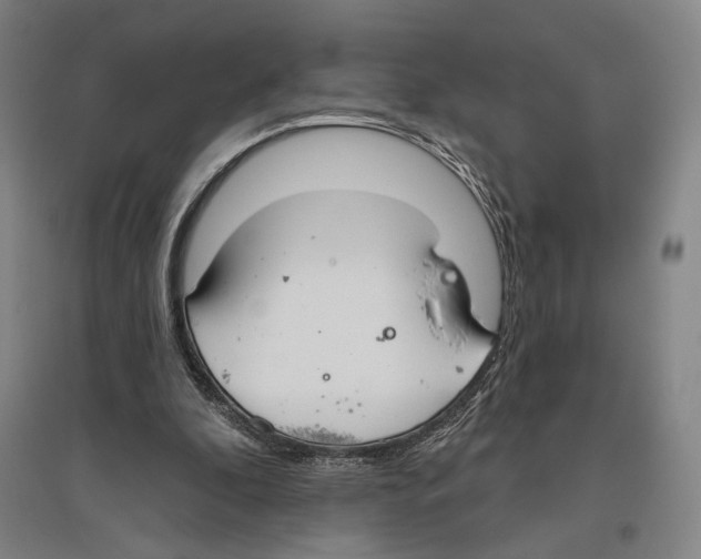 X0000096630296200803041110